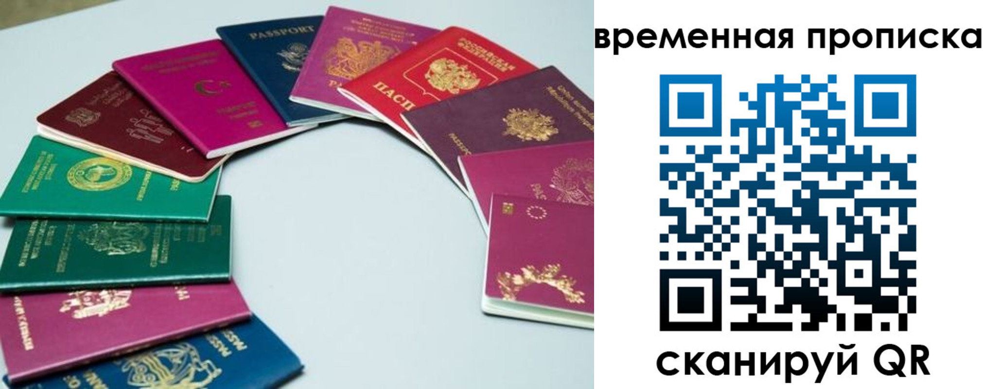 найти адрес прописки в Новосибирске